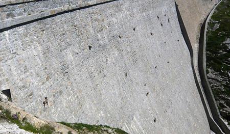 20101015 Alpine Ibex, Capra ibex - 아이벡스.jpg 50m 댐 벽 오르는 ‘스파이더’ 염소떼 - 신기 명기!!!
